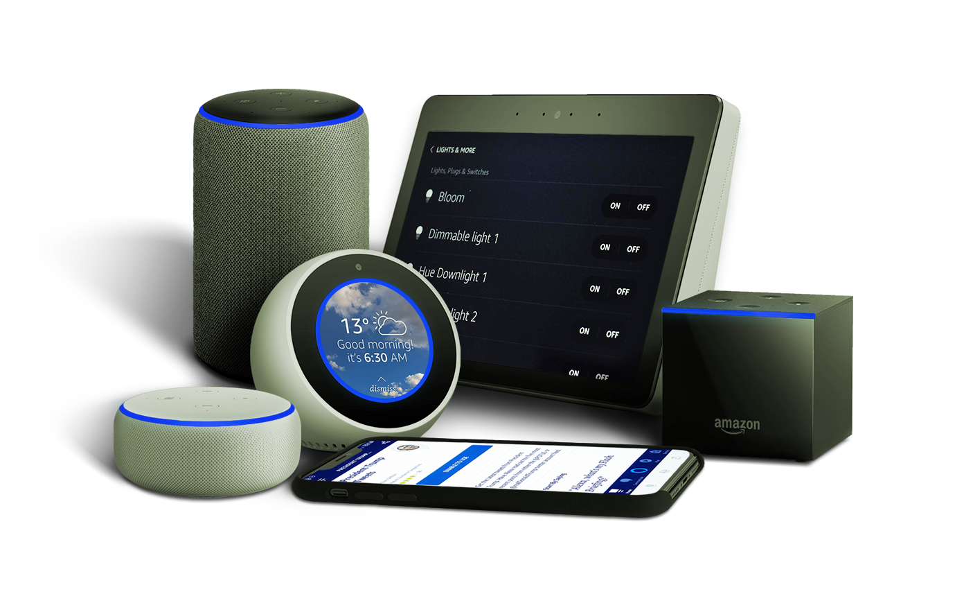 amazon alexa skill development